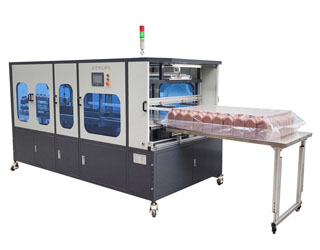 AQT-B203�Զ���ƿ��װ��